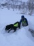 Det trenes over hele Finnmark, både for å være rustet mot prøver som står for tur, men også for å holde beredskapen oppe.